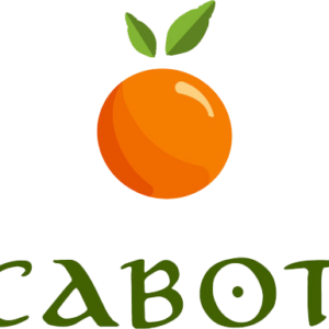 Cabot Team Deposit